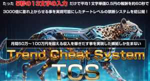 【レビュー】TCSで即金をこの手に｜谷口信也
